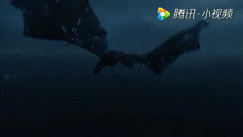 五分钟看懂权力的游戏第七季,权力的游戏第七季第七集百度云