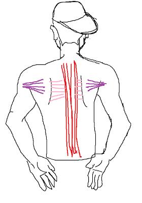练背练肩颈真的可以瘦背吗,练背可以改善脊椎两侧肌肉吗