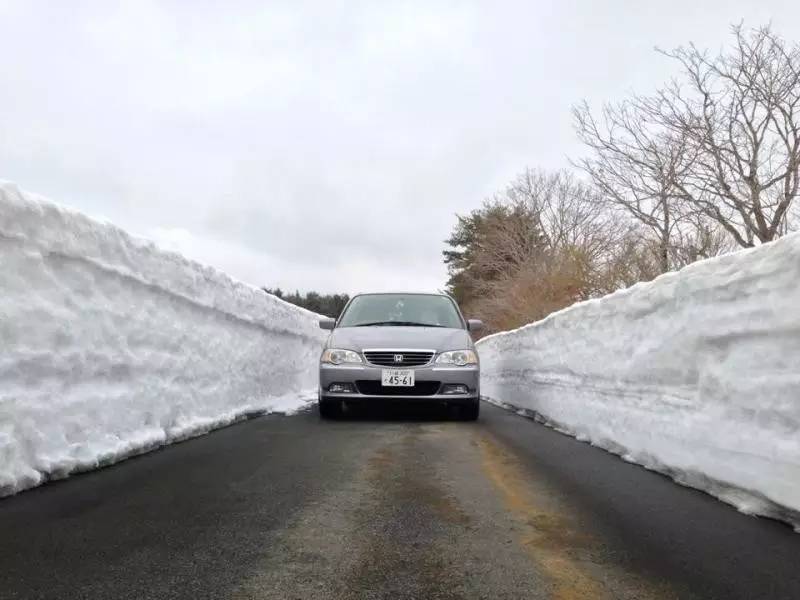 本来只是出去买个菜，结果变成了5天4晚的说走就走的日本东北旅行（栃木・福島・山形・秋田・新潟）
