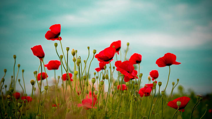 摄影白平衡的基础知识,摄影基础知识什么是白平衡偏移