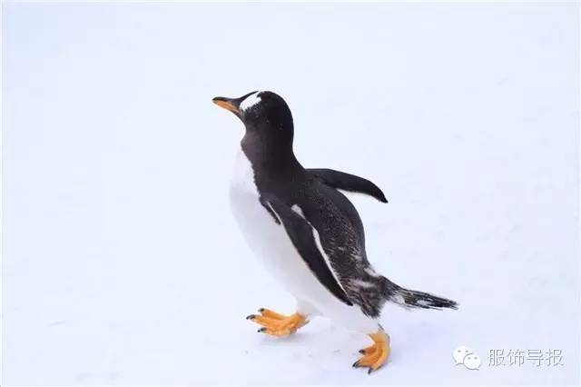 日本旅行穿搭高级感,日本旅行夏日穿搭