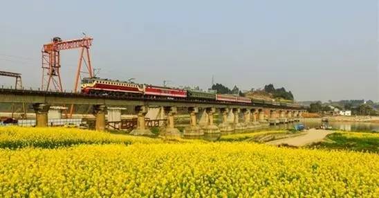 全国人大代表任永昌：四川将开展农业物联网试点|微说四川