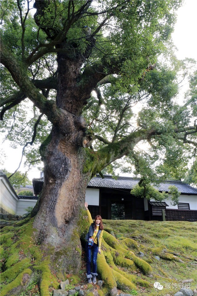 日本旅行穿搭高级感,日本旅行夏日穿搭