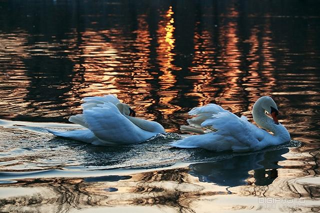摄影白平衡的基础知识,摄影基础知识什么是白平衡偏移