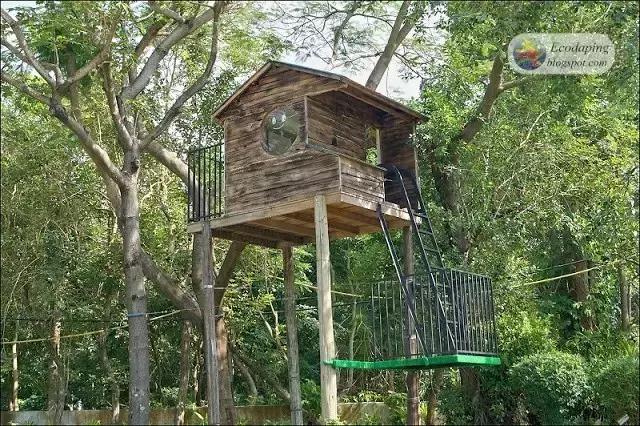 你的学校有操场吗,你还记得你的学校吗