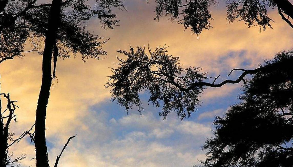 鎴戠殑灏忓簵缇庢枃,缇庢枃閴磋祻鎴戠殑蹇冪埍涔嬬墿