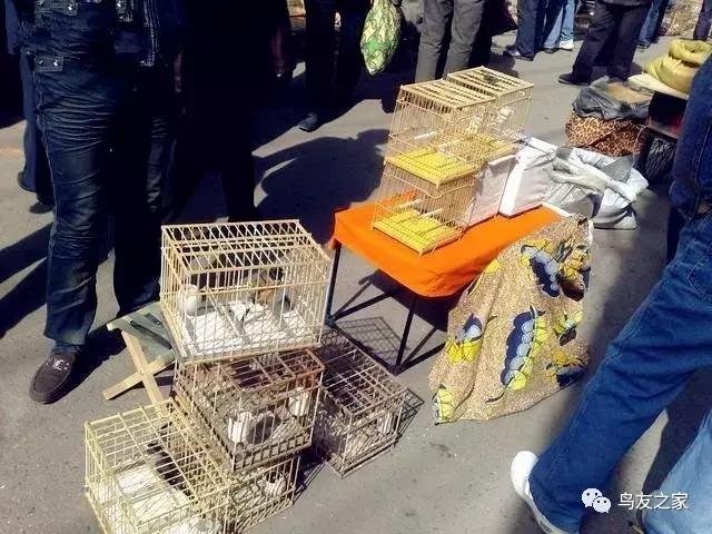 玩索而有得的索解释,玩索而有得的出处