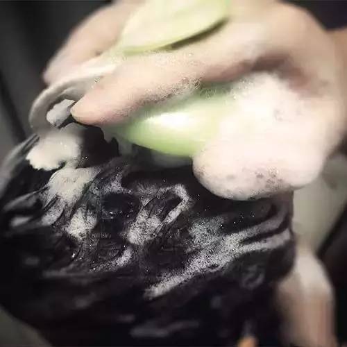 十大公认最好的气垫梳子,明星推荐网红梳子抖音