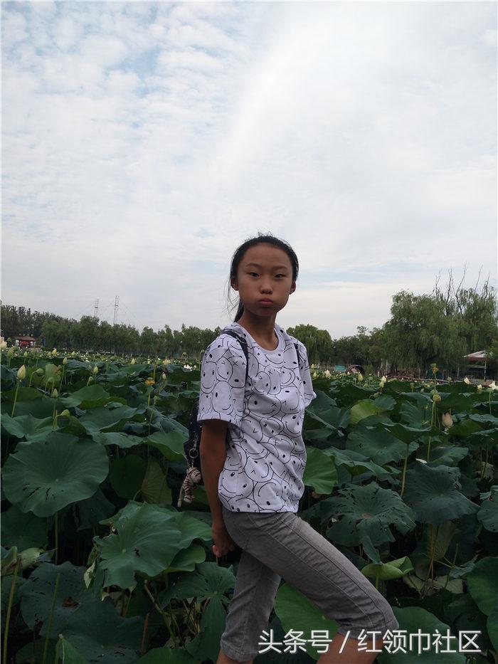 重庆十佳红领巾小记者复赛,红领巾小记者名单