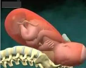 婴儿自然顺产过程,孩子顺产过程是怎样的