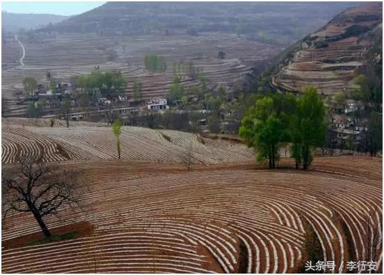 上帝的指纹3,上帝的指纹图解大全