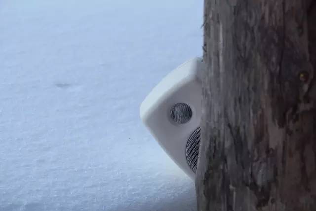 芬兰真力音箱,真力音箱型号经典