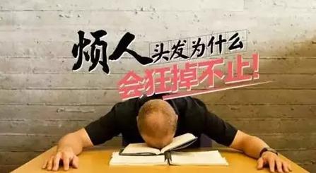 头发油脱发，怎么办？一个对策