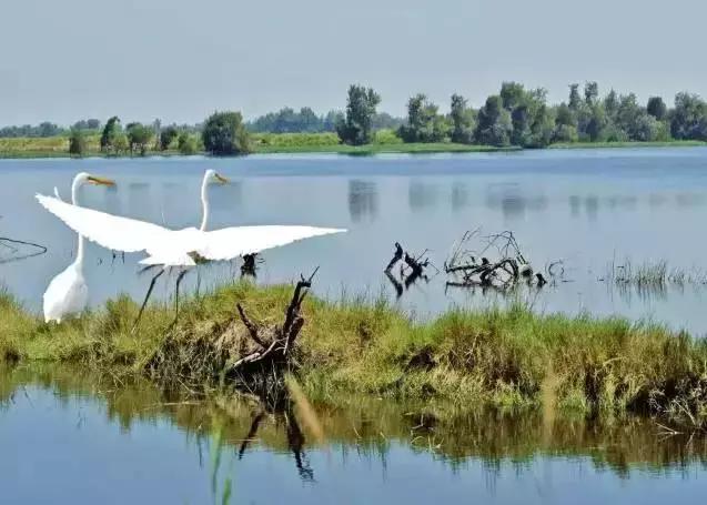 成都赏红叶的公园,成都赏秋色最好的地方