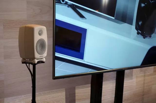 芬兰真力音箱,真力音箱型号经典