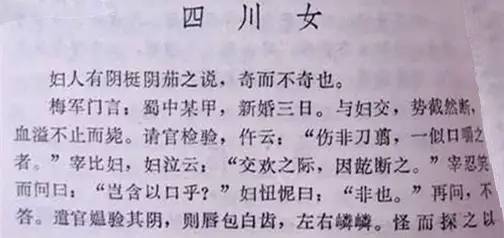 被人遗忘的灵异故事,中国关于猫的鬼怪传说