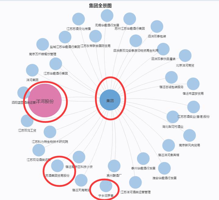 立体解剖分解,洋河股份股权结构与分析