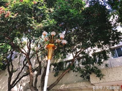 北京印刷学院春季开学时间2022年,北京印刷学院开学季