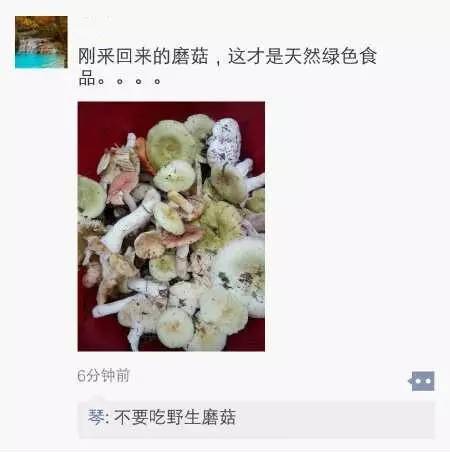 百威黄鹤楼,黄鹤楼百威