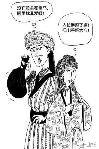 东北人买貂,东北人为什么喜欢买貂