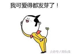 一些四字成语的解释,说的四字成语有哪些