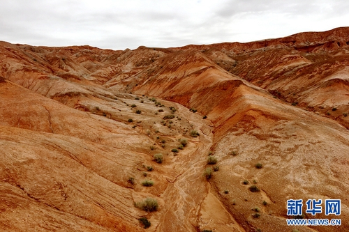 光明早报：习*平近**会见中外记者；国足憾别2018世界杯