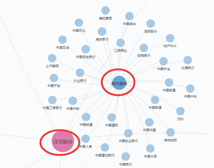 立体解剖分解,洋河股份股权结构与分析