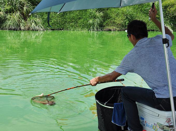 适合晚秋冬季钓鱼的饵料,入秋钓鱼饵料