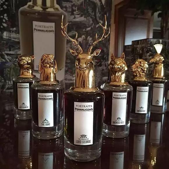 闻香识女人看过没,闻香识女人闻茶