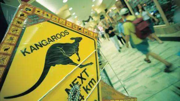 澳洲奶粉和保健品,澳洲购物攻略必买保健品