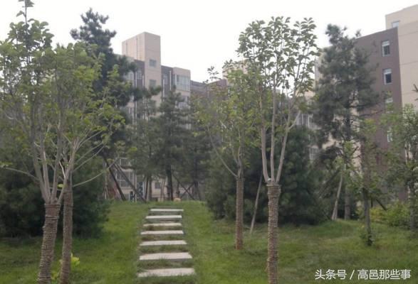 高邑今天的事,高邑那些事