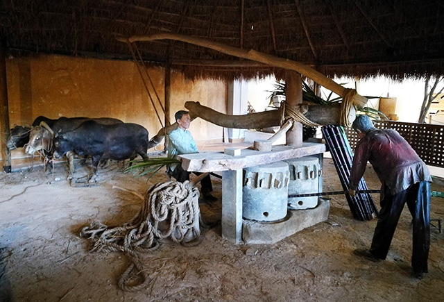 深圳求水山公园游乐场门票多少钱,求水山公园游乐场要大门票吗