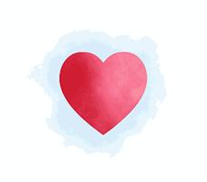 百威黄鹤楼,黄鹤楼百威