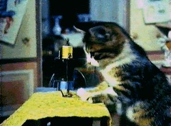 租了宝马，放上饮料，坐等妹子上车，结果被环卫大妈先拿了