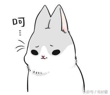 新一代坂本大佬,坂本大佬合集解析