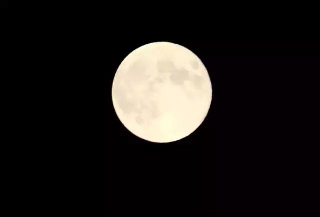 蒹葭苍苍白露为霜天冷莫忘添衣,蒹葭苍苍白露为霜何日归故乡