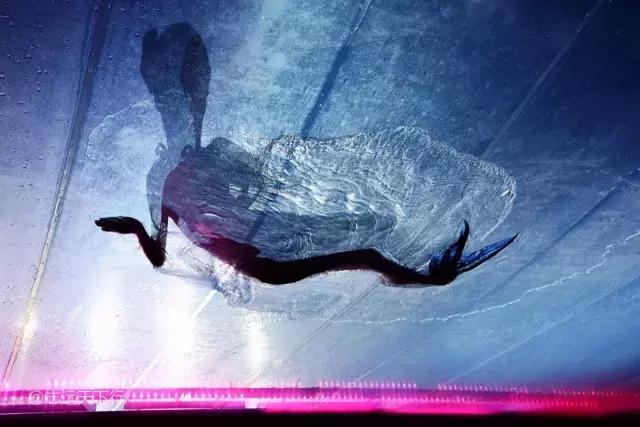 三亚合适小朋友玩的景区,三亚儿童旅游