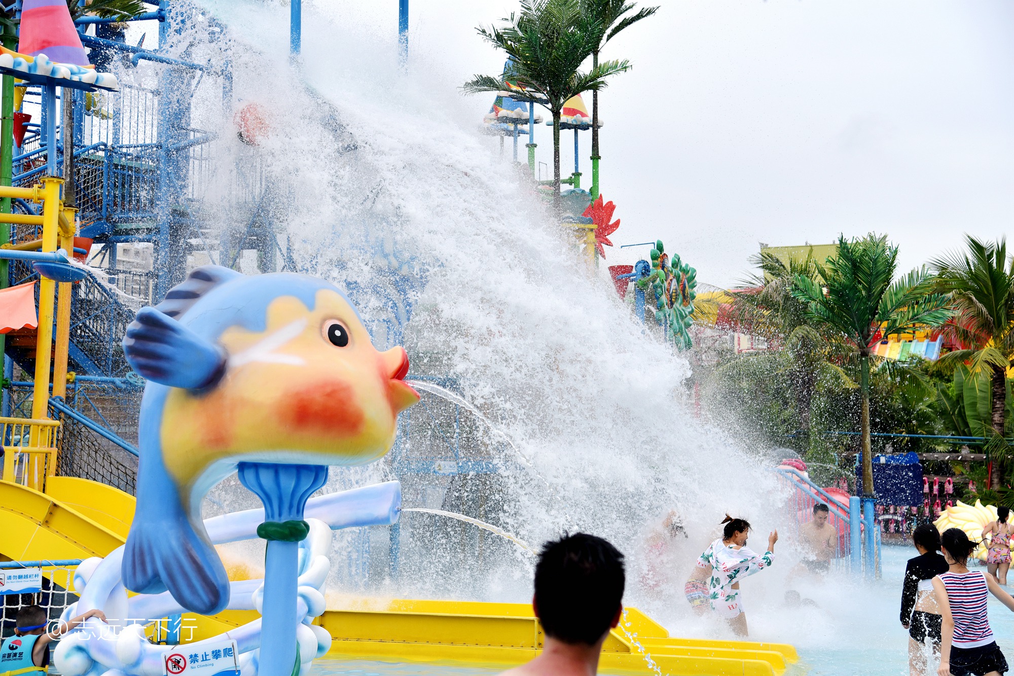 三亚合适小朋友玩的景区,三亚儿童旅游