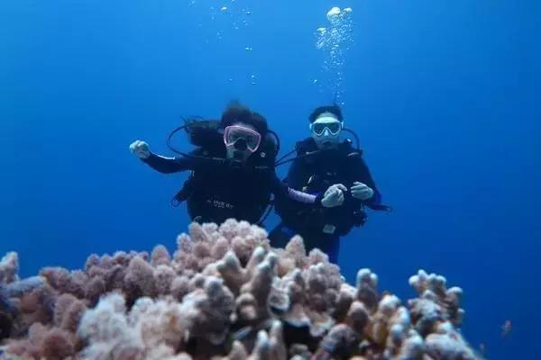 一个让人看了就想脱衣服的海岛，还能与漫天萤火虫共舞……