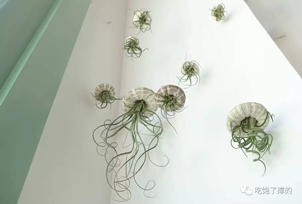 轻奢小众高级花店,有文艺气息的花店