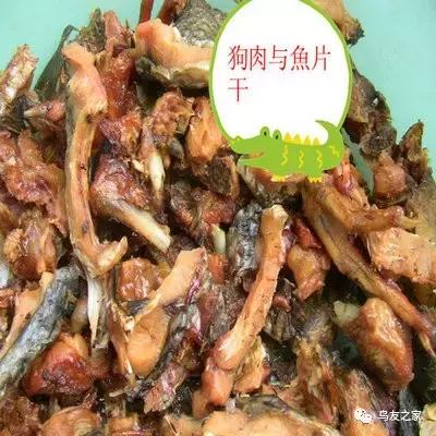 画眉饲料配方制作比例,土画眉饲料配方营养含量