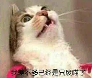 石家庄99%人的上班状态，最后一个说到心坎里了！