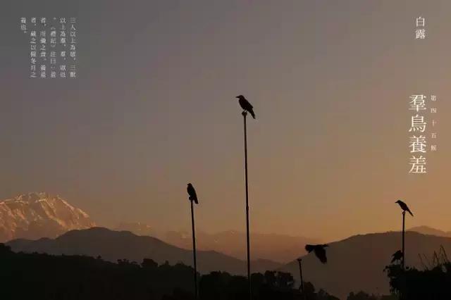 蒹葭苍苍白露为霜天冷莫忘添衣,蒹葭苍苍白露为霜何日归故乡