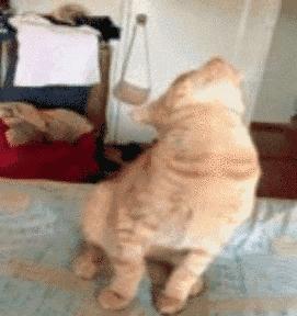 发现v,镇江特产推荐