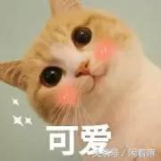 世界上稀奇古怪的网站,全球有什么有趣的网站