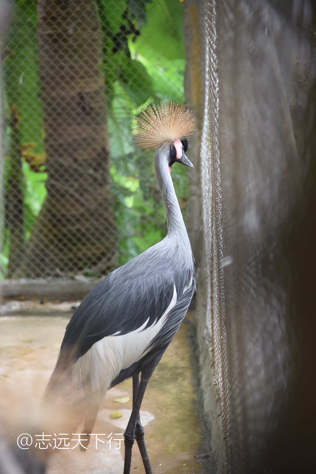 三亚合适小朋友玩的景区,三亚儿童旅游
