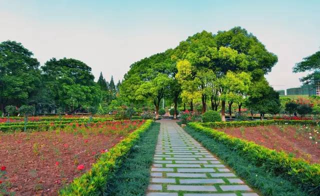 上海户籍政策,上海还有什么免费值得去的地方吗