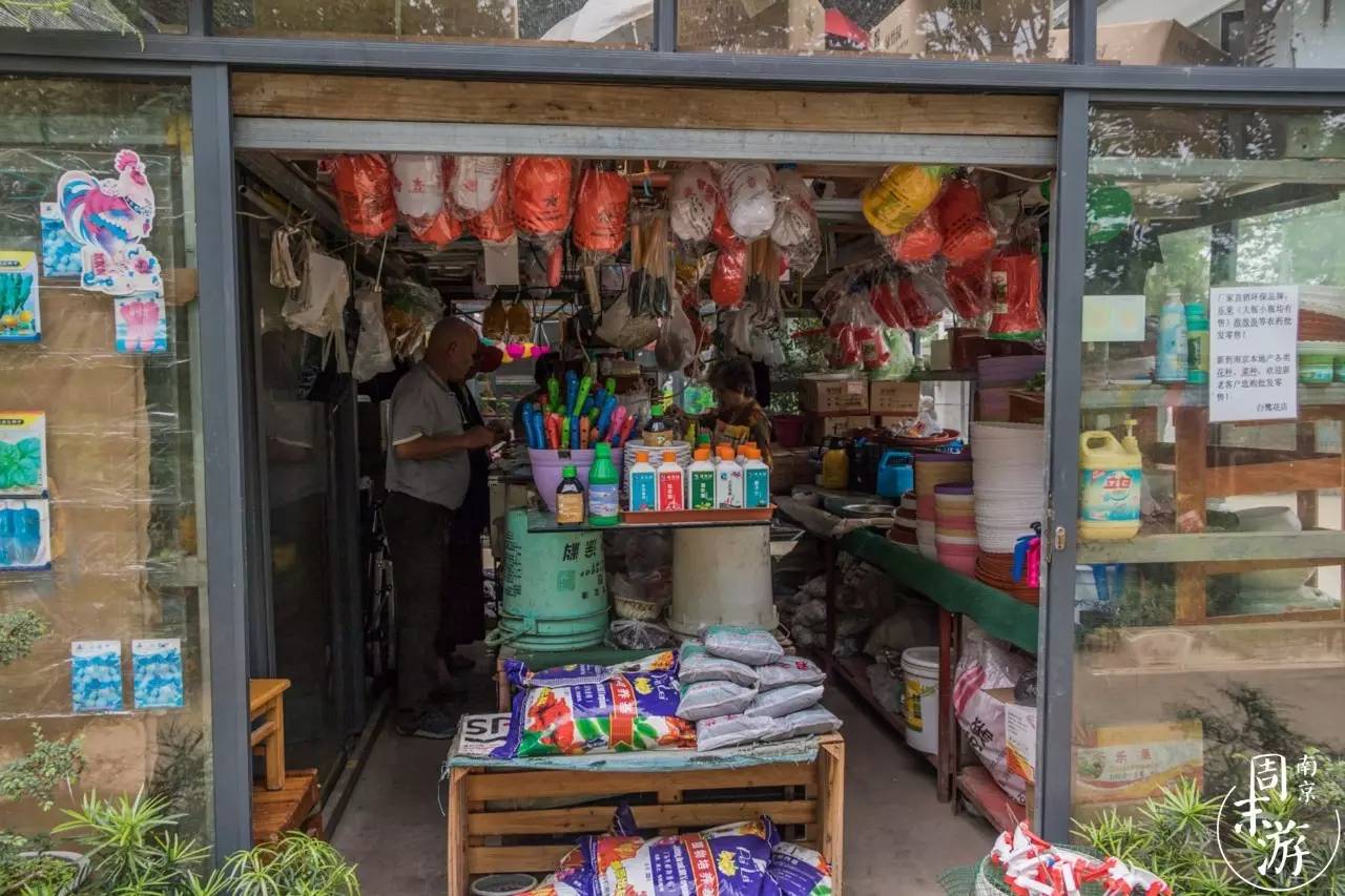 逛花鸟鱼虫市场的视频,逛各种花鸟市场