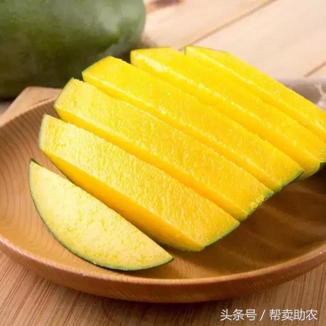 这个教师节，我要送芒果界的“巨无霸”