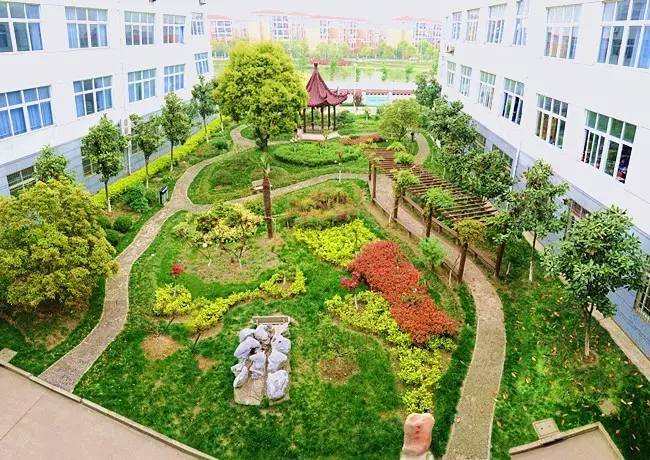 上海被称为模范的学校你知道几所,多所高校被通报批评